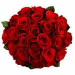 20-Red-Roses-Bunch