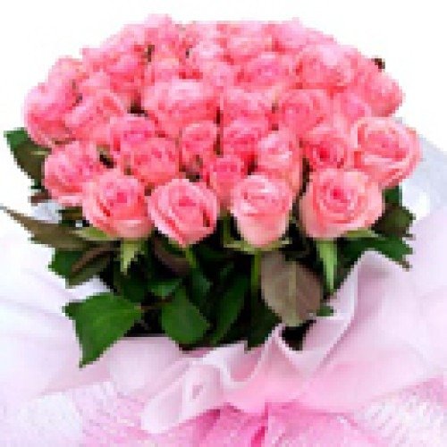Beautiful-Pink-Roses-Bunch Beautiful-Pink-Roses-Bunch