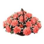 Carnival in Coimbatore