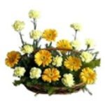 Carnation-n-Gerberas