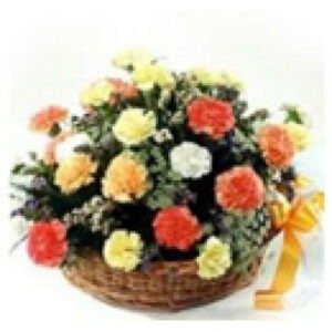 Colourful-Carnation-Basket