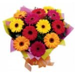 Colourful-Gerberas