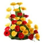 Gerbera Flower Basket