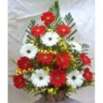 Gerbera Flower Arrangements