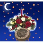 Midnight-Candle-Flowers