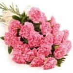Pink-Carnation-Posy