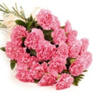 Pink-Carnation-Posy