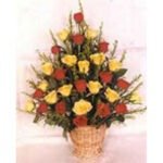 Red N Yellow Roses