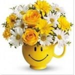 crysanthemums-n-roses