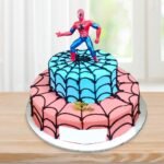 Chocolate-with-spiderman-cake