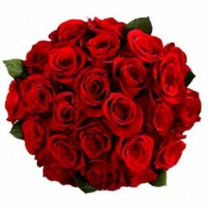 20-Red-Roses-Bunch