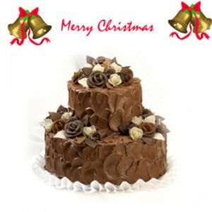 Christmas-Cake-1