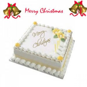 Christmas-Cake-2