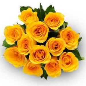 Fabulous-Yellow-Roses
