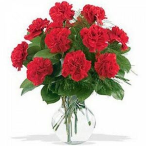 Red-Carnations