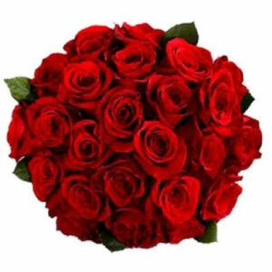 20-red-roses-bunch